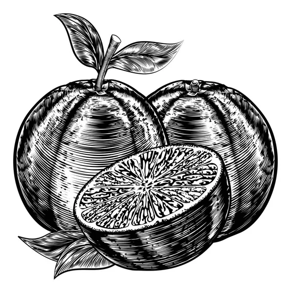 Oranges tranchées Vintage Woodcut — Image vectorielle