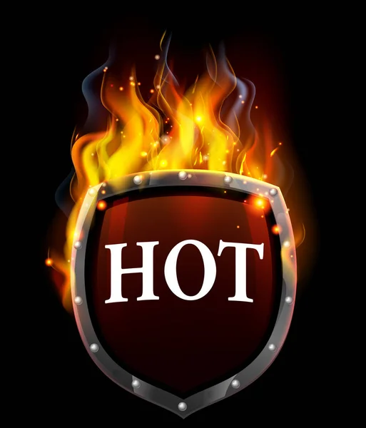 뜨거운 불타는 화재 방패 — 스톡 벡터