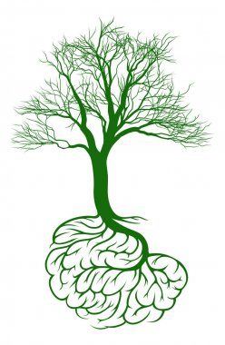 Brain tree concept clipart