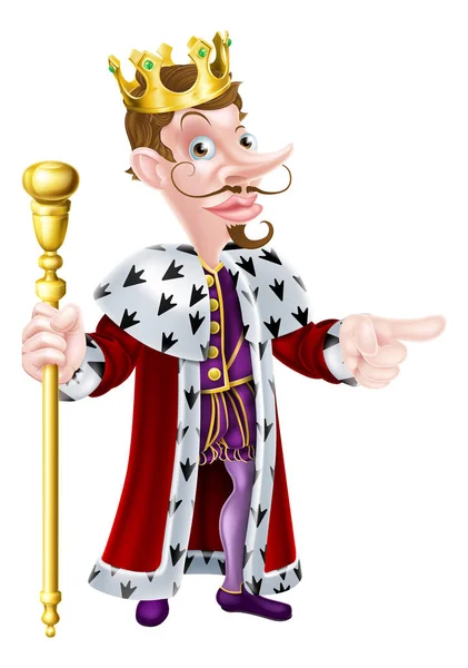 Bearded cartoon koning — Stockvector