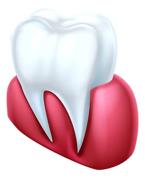 Denti e gengive — Vettoriale Stock