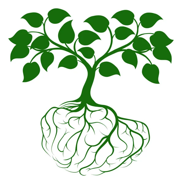 Árvore com raízes cerebrais — Vetor de Stock