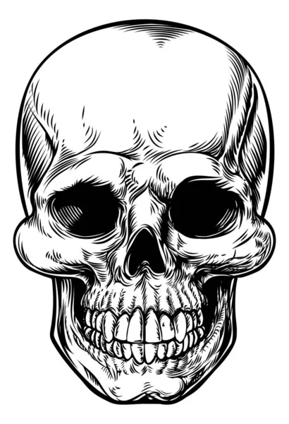 Illustrazione del disegno del cranio — Vettoriale Stock