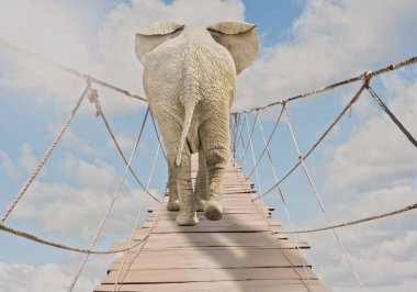 througa ahşap köprü bir bulutlu gökyüzü üzerinde yürüyen fil