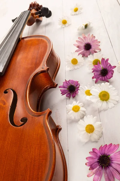 Violin Med Blommor Vit Trä Bakgrund — Stockfoto