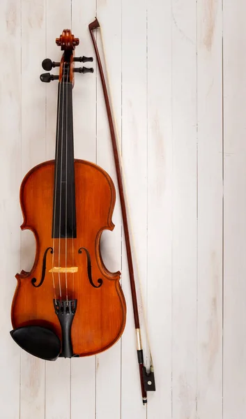 나무로 배경의 바이올린 — 스톡 사진