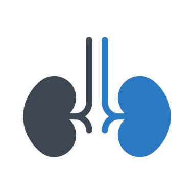 böbrekler glif renk simgesi 