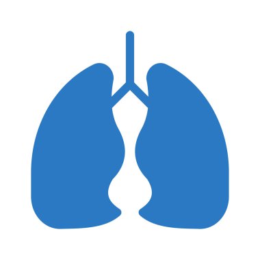 böbrekler glif renk simgesi 