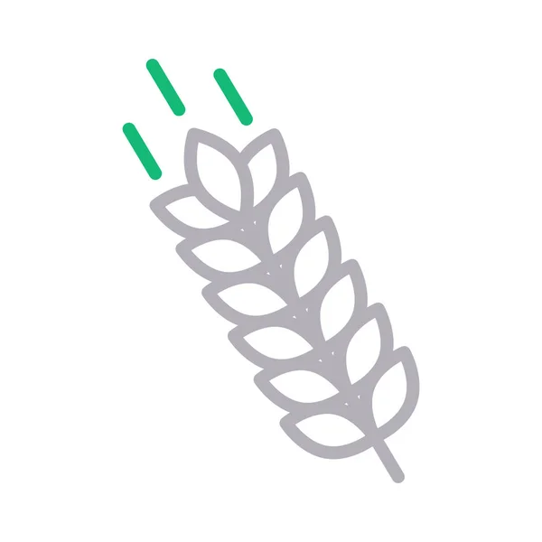 Weizen Dünne Farbe Linie Vektor Symbol — Stockvektor