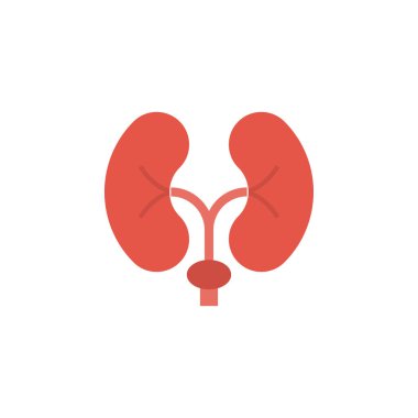 Anatomi glif düz vektör simge