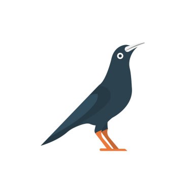 crow  vector colour flat  icon 