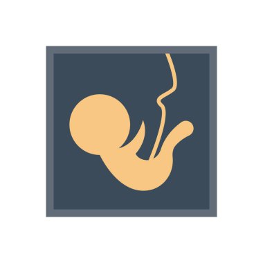 rapor vektörü düz renk simgesi