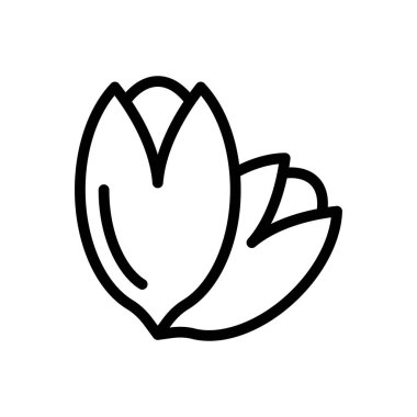 kuru meyve vektörü ince çizgi simgesi