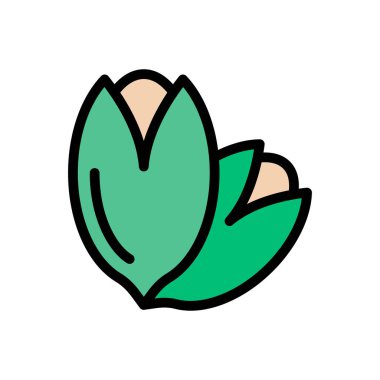 kuru meyve vektörü düz renk simgesi