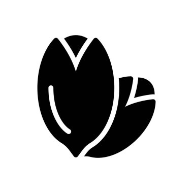 kuru meyve vektörü kabartması düz simge