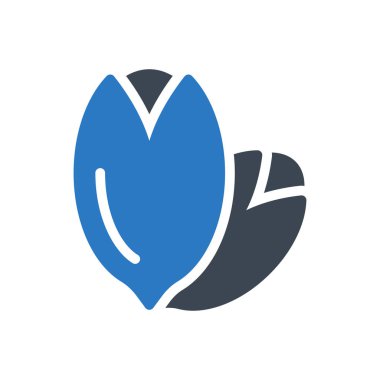 kuru meyve vektörü renk simgesi