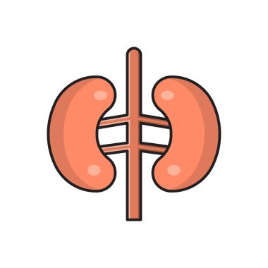 anatomi vektörü düz renk simgesi