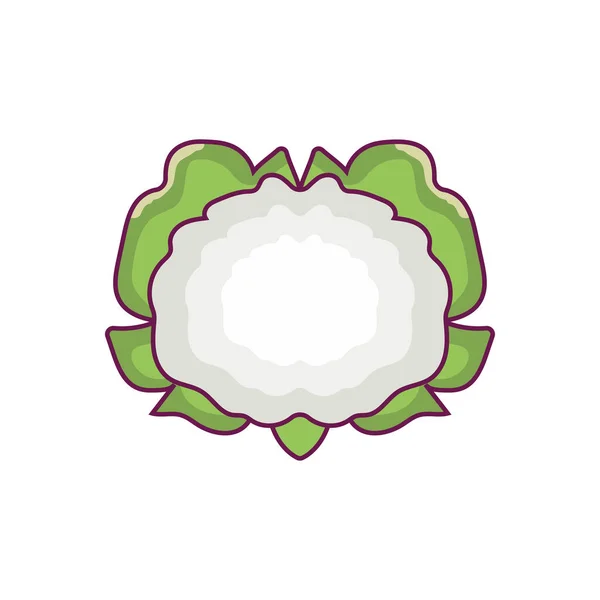 Cauliflower Vector Flat Color Icon — Stock Vector