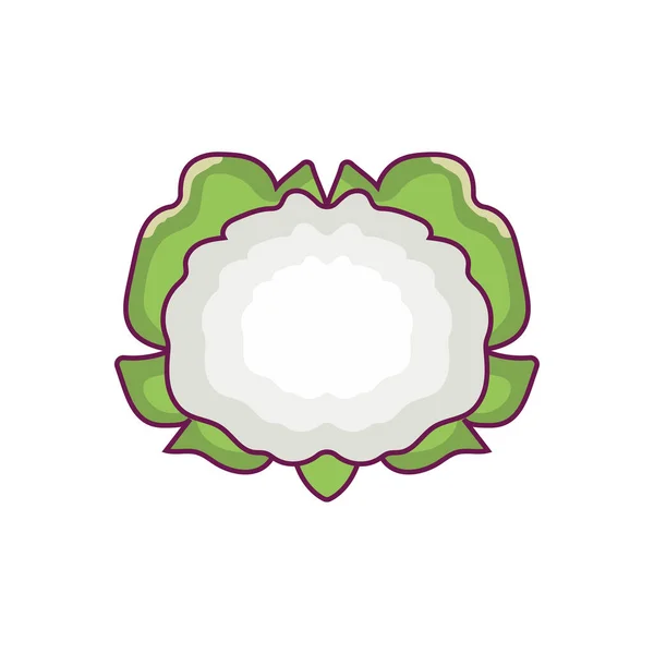 Coliflor Vector Icono Color Plano — Vector de stock