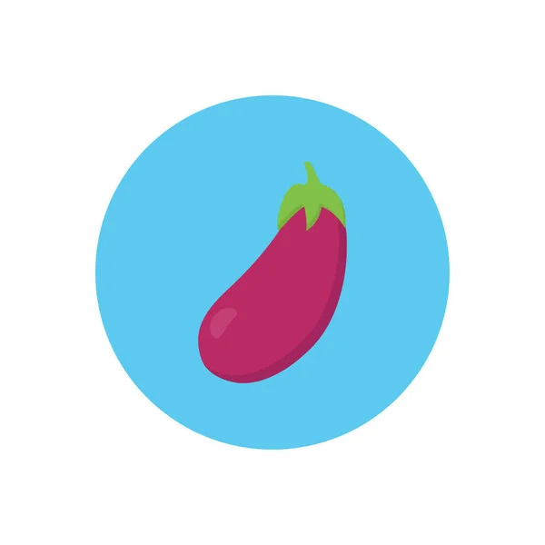 Brinjal Vector Cirkel Plat Pictogram — Stockvector