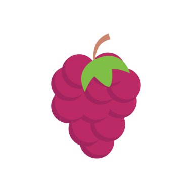 meyve çemberi gölge düz simgesi