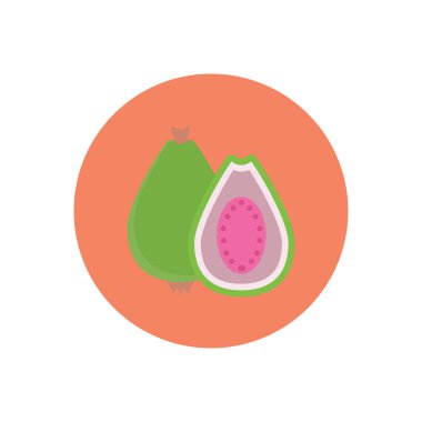 meyve vektör dairesi düz simgesi