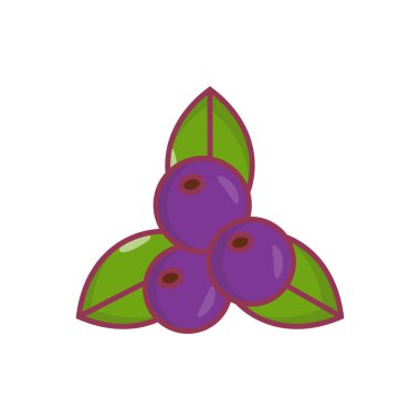 meyve vektörü düz renk simgesi