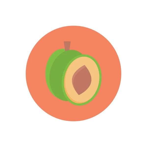 Vector Fruta Círculo Icono Plano — Archivo Imágenes Vectoriales