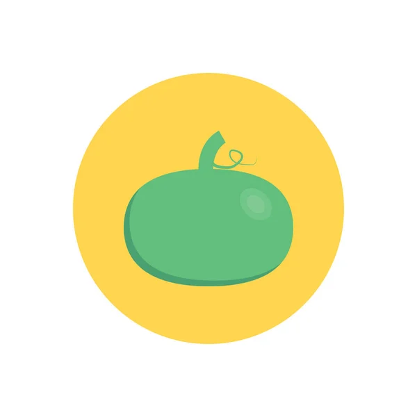 Fruit Vector Circle Flat Icon — Stock Vector