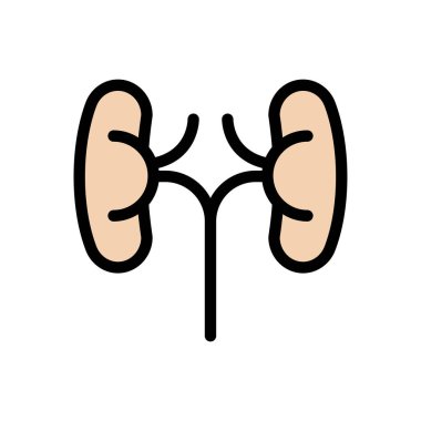 organ vektör renk çizgisi simgesi