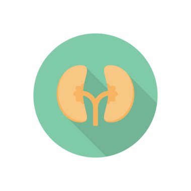 Üreterler dairesi gölge düz simgesi