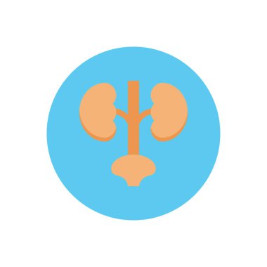 Üreterler vektör dairesi düz simgesi