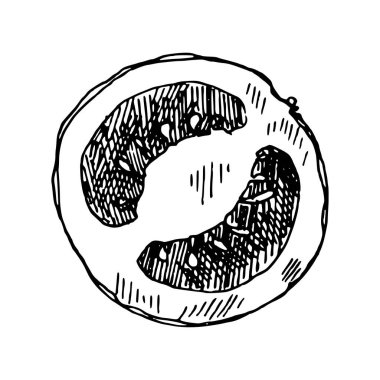 domates parçası çizilmiş resmi el