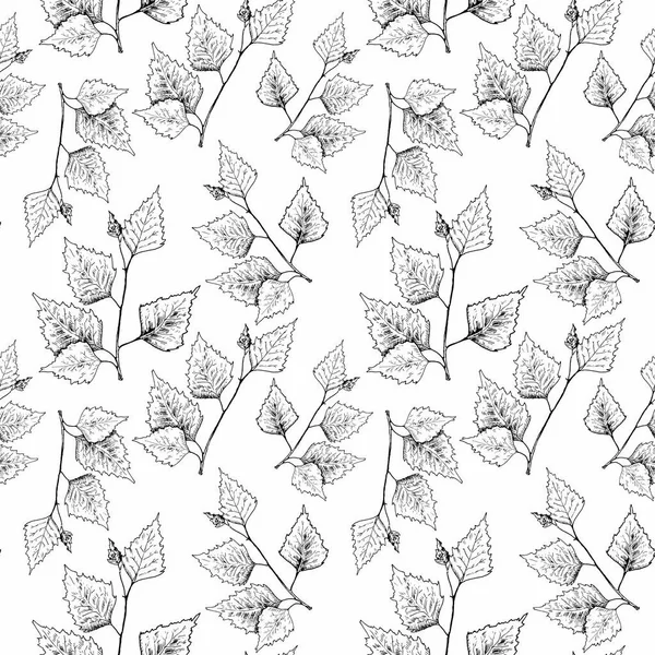 Birch leaves pattern. Hand drawn black birch tree branches, birch leaves. Sketch style seamless background.