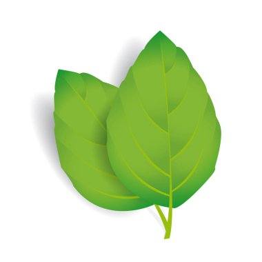Beyaz gölge izole vektör yaprak