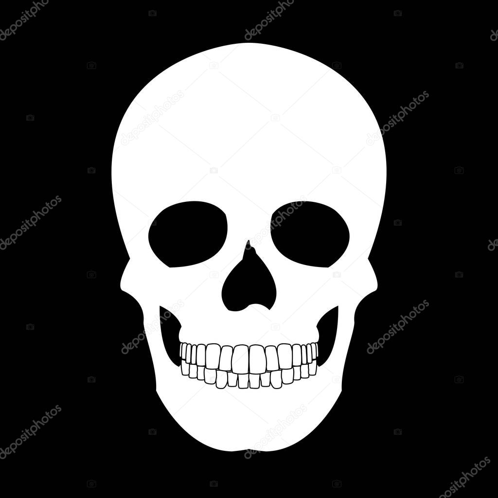  Beautiful and mysterious skull design on the dark background