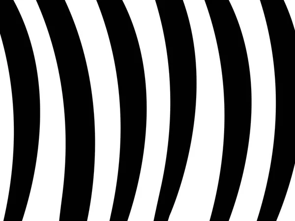 Magnífico Diseño Fondo Blanco Negro Con Color Cebra — Vector de stock