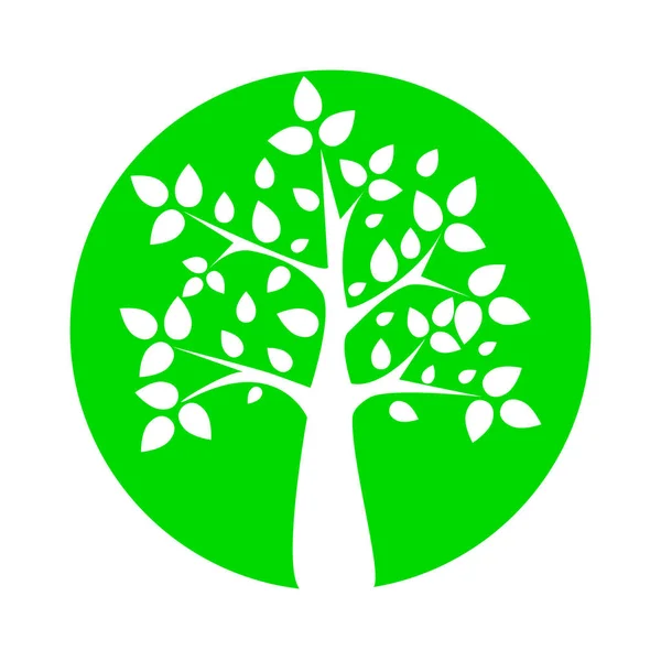 Maravilloso Diseño Una Silueta Blanca Árbol Con Hojas Círculo Verde — Vector de stock