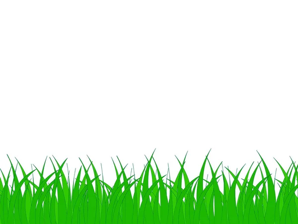 Gran Diseño Hierba Verde Sobre Fondo Blanco — Vector de stock