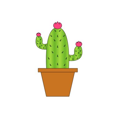 Beyaz arka planda bir tencerede kaktüs