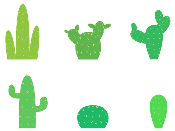 Ensemble Différents Types Cactus Sur Fond Blanc — Image vectorielle