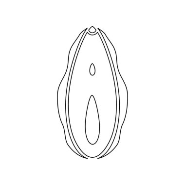 Human vagina line icon. Female opening reproductive sex organ vector illustration isolated on white
