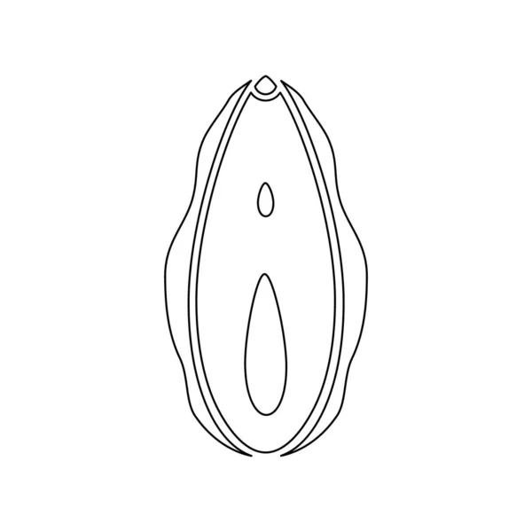 Human Vagina Line Icon Female Opening Reproductive Sex Organ Vector — ストックベクタ