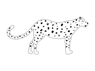 Leopar siyah beyaz vektör. Beyaz arka planda izole edilmiş vahşi hayvan baskısı çizimi