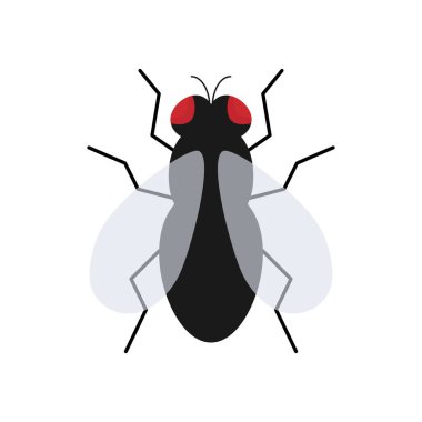 Uçan Böcek düz vektör resimlemesi beyaza izole edildi