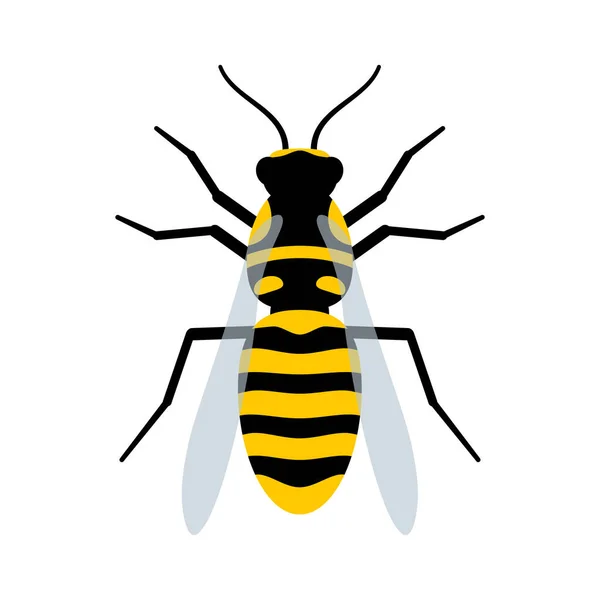 Illustration Vectorielle Plate Wasp Isolée Sur Blanc — Image vectorielle
