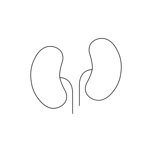 腎臓の線のアイコン 腎臓は白い背景に隔離された黒い形のベクトル図を概説します 人間の内臓 — ストックベクタ