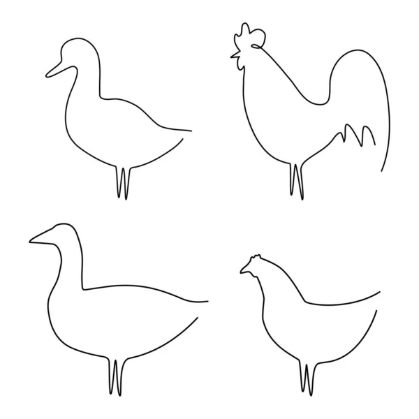 Animales Granja Línea Set Vector Ilustración Polla Pato Pollo Ganso — Vector de stock