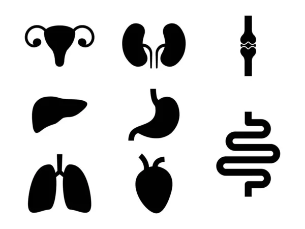 内臓アイコンのセット ヒトの単純な臓器黒の形のコレクションベクトル図白で単離 — ストックベクタ