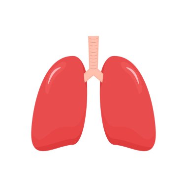 Düz akciğerli simge. Beyaz arka planda izole edilmiş iç organ vektör çizimi. 